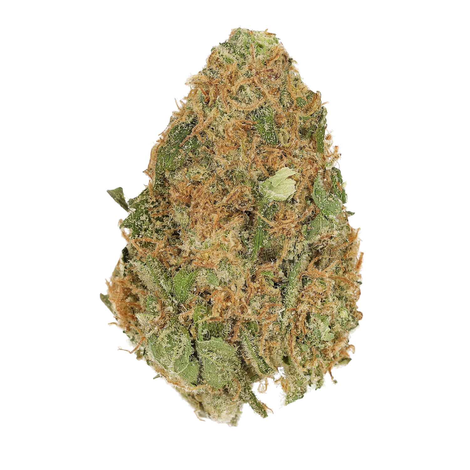 Cannamedical Sativa classic NM Gelato Dream